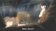 movie2_17728.jpg
