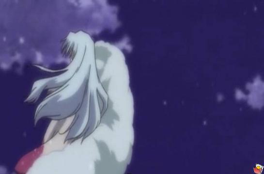 m3a_03847.jpg