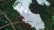 movie01_01-93353.jpg