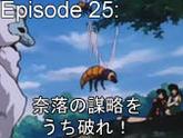 25