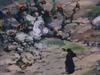 25-15.jpg