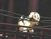 kira_c-02.jpg