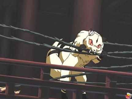 kira_c-02.jpg
