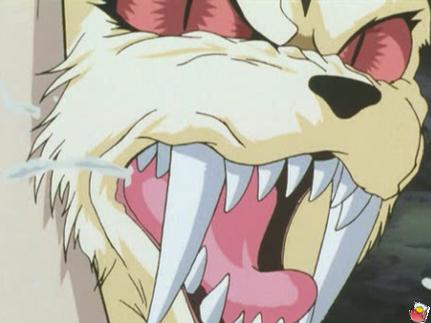 kira_c-07.jpg