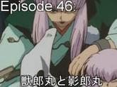 46