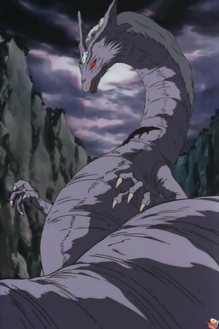 s54-15.jpg