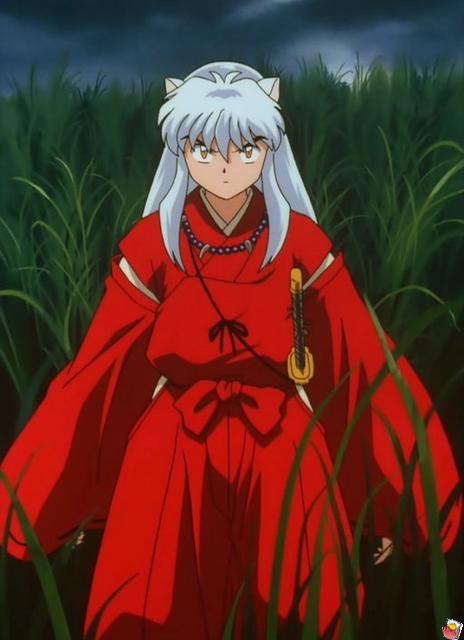s55-09.jpg
