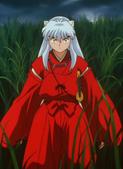 s55-09.jpg