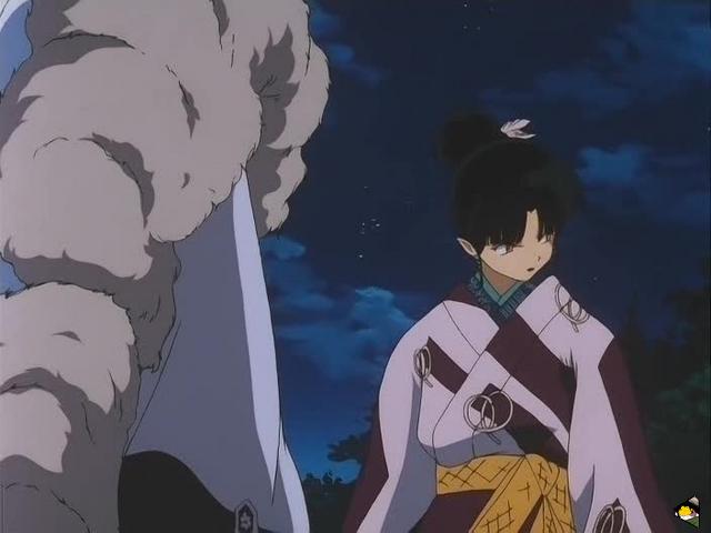 inu_6704.jpg