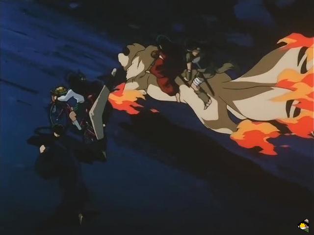 inu_6722.jpg