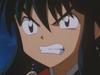 inu_6735.jpg