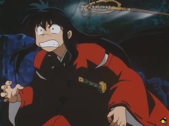 inu_6741.jpg