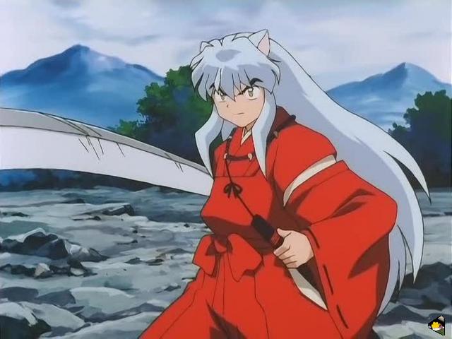 inu_6772.jpg
