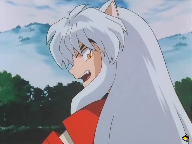 inu_6794.jpg