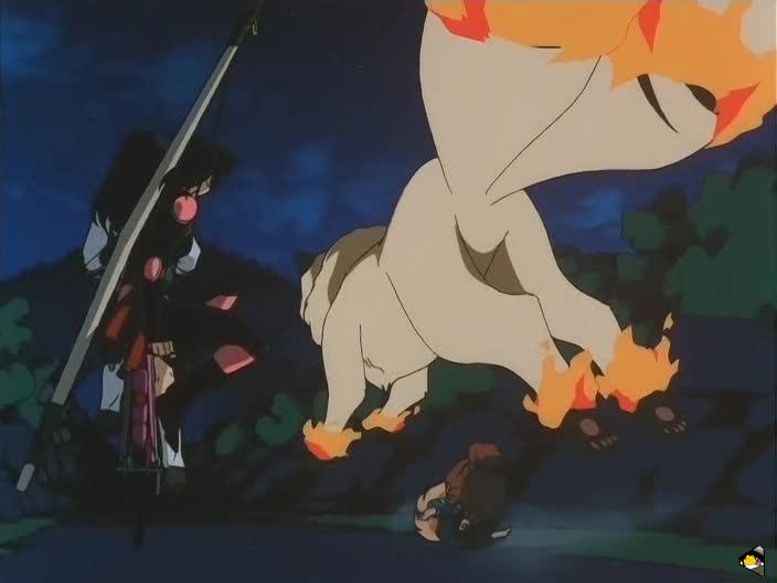 inu_6738.jpg