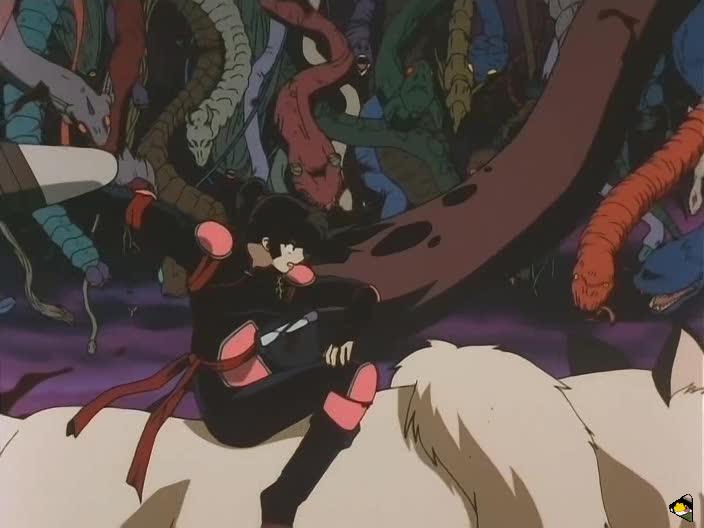 inu_6751.jpg