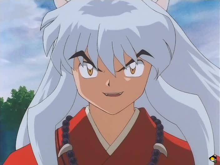 inu_6771.jpg