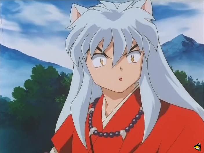 inu_6778.jpg