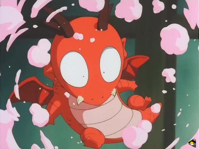 inu68_023.jpg