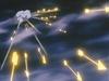 inu68_070.jpg