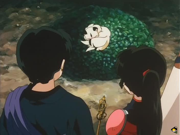 inu68_046.jpg