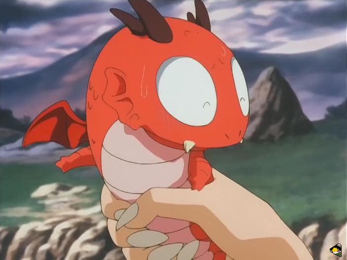 inu68_060.jpg