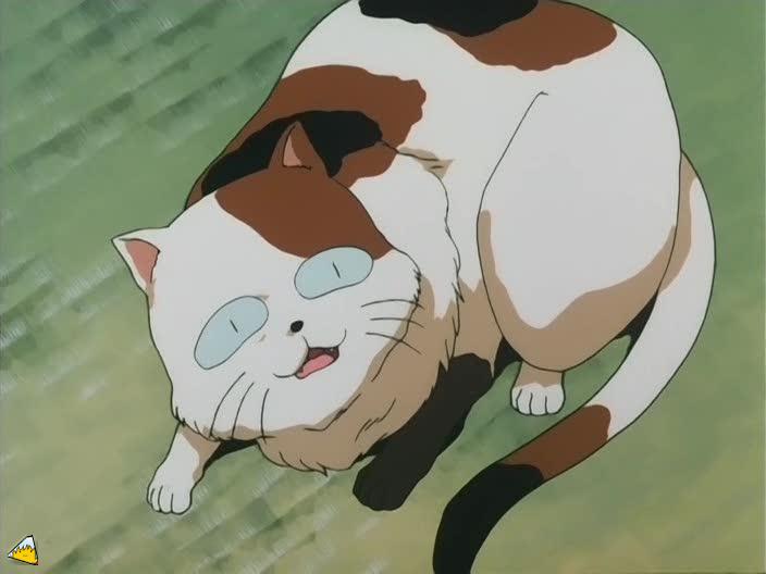 inu69_028.jpg