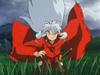inu70_00463.jpg