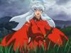 inu70_00466.jpg