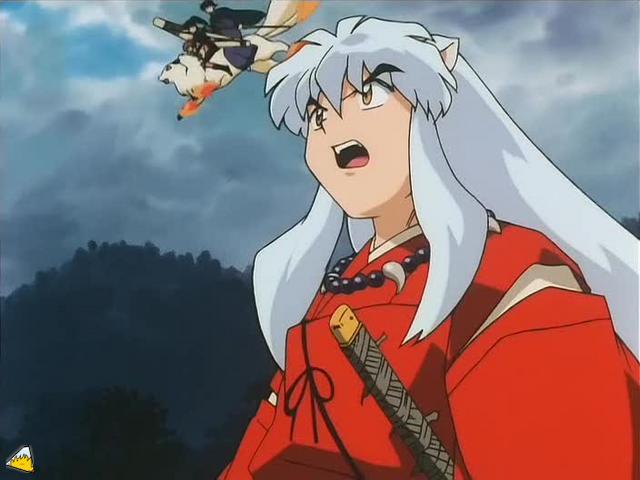 inu70_00476.jpg