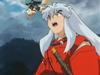 inu70_00476.jpg