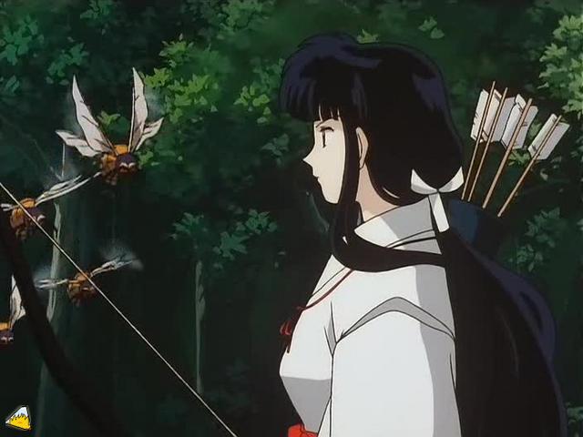 inu70_00564.jpg