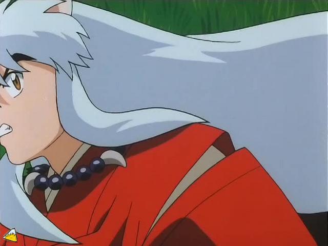 inu70_00652.jpg