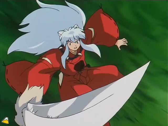inu70_00800.jpg