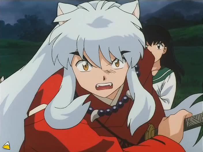 inu70_00511.jpg
