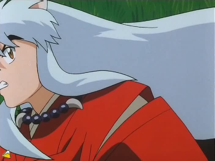 inu70_00652.jpg
