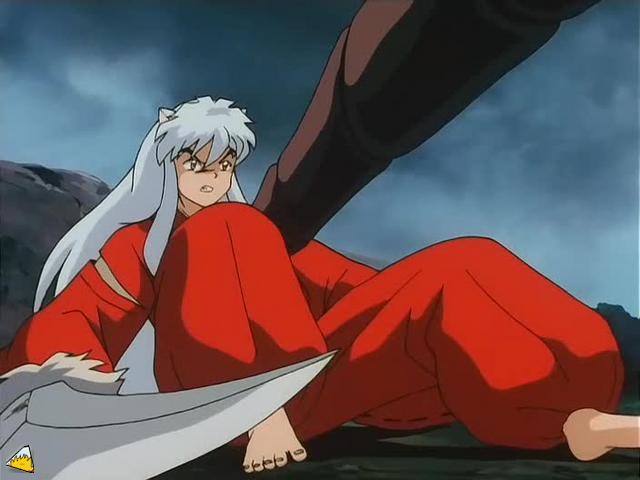 inu71_015.jpg
