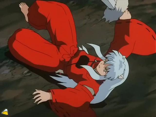 inu71_229.jpg
