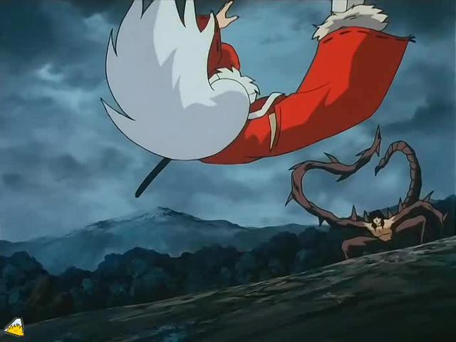 inu71_235.jpg