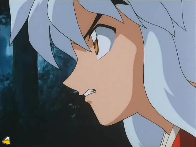 inu71_302.jpg