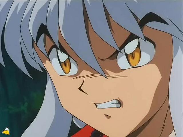 inu71_612.jpg
