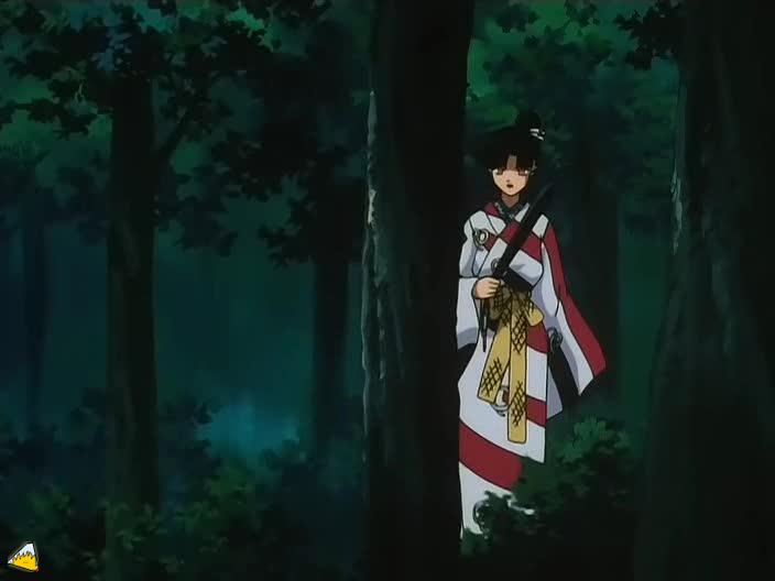inu71_352.jpg