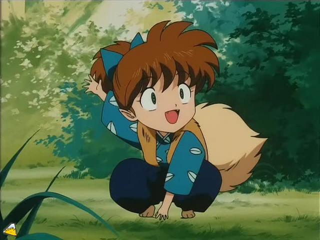 inu72_00031.jpg