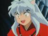 inu72_00200.jpg