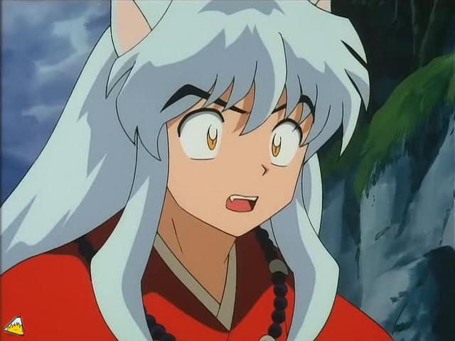 inu72_00278.jpg