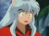 inu72_00278.jpg