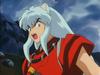 inu72_00328.jpg