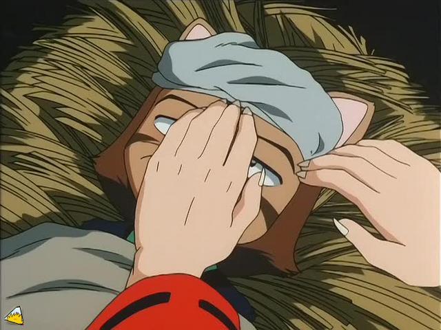 inu72_00365.jpg