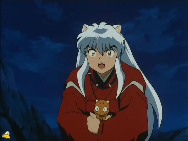 inu72_00519.jpg