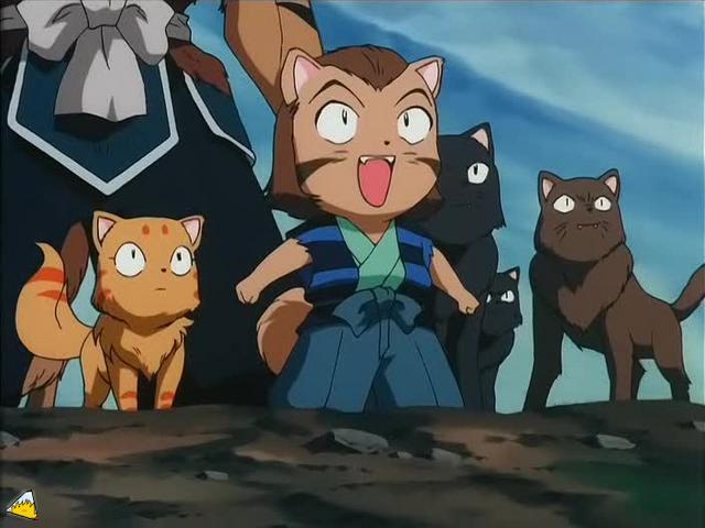 inu72_00880.jpg